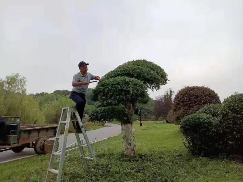 微信圖片_20210721180310.jpg 微信圖片_20210721180310.jpg